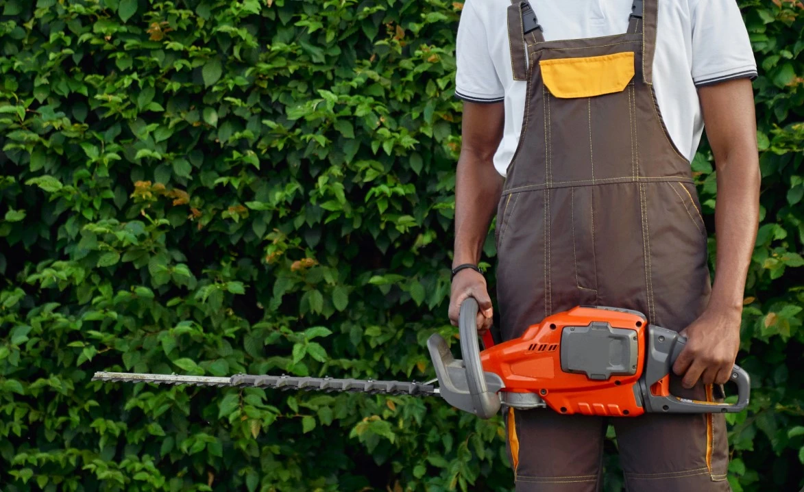 Arborist with trimming tool next to shrubs