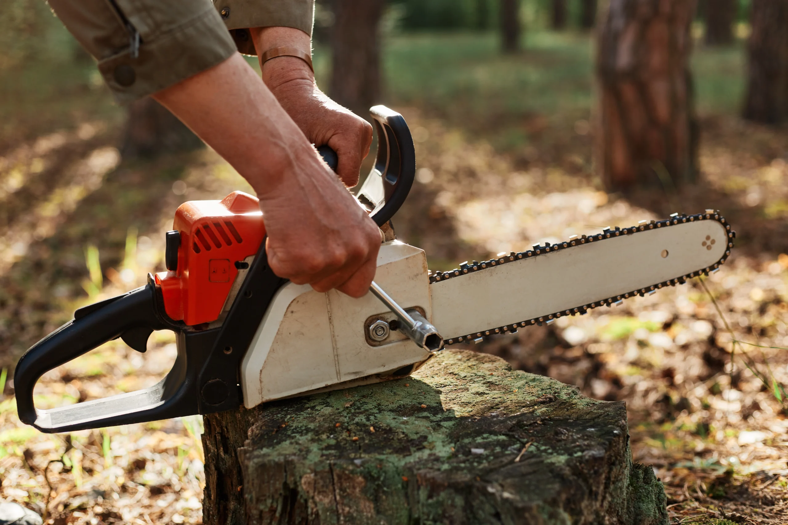 New and modern chainsaw utilized in tree removal service