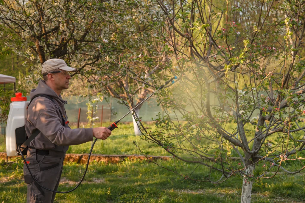 Arborist spray trees for a tree healthcare plan