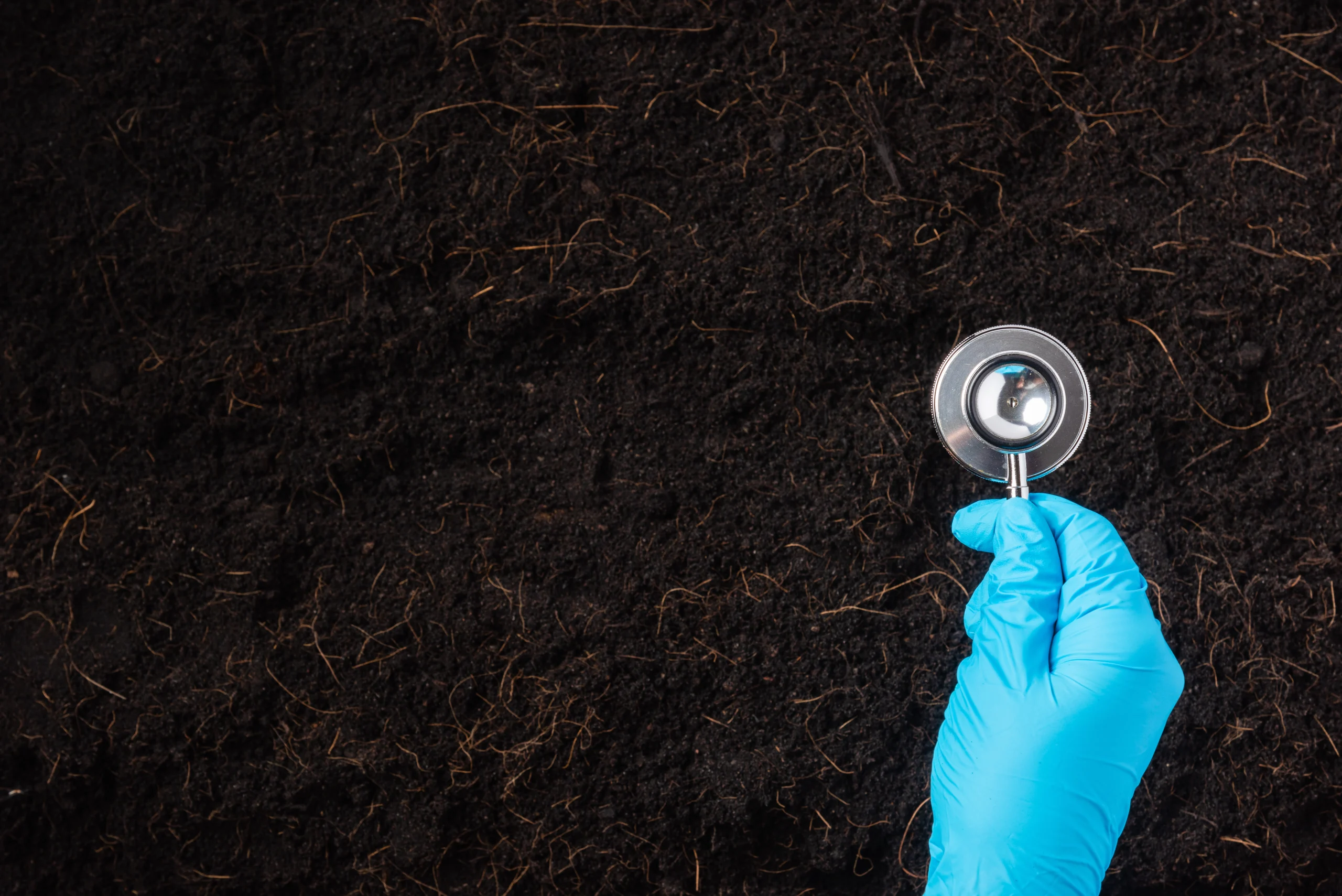 Arborist holding healthcare instrument against soil